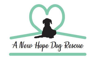 A New Hope logo